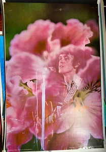 DONOVAN VINTAGE 1968 VOLLFARBIGES ROCK & ROLL POSTER von CELESTIAL ARTS - SCHÖN! - Bild 1 von 7