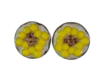 Pendientes Andree Bazot Artesanales Esmalte Vidrio Cobre Clip París Francia Foto 1 de 4