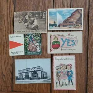 Antike Postkarten Neuheit Humor 1910isch Yellowstone Frisky Kitchy Sprüche (6) - Bild 1 von 8