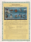 Mazuma *S1010 Taiwan 1991 T296 Stream Birds Postage Stamps & MNH