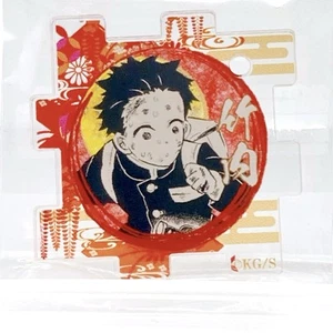 Takeuchi Demon Slayer Acrílico Puzzle Stand Exposición Limitada Japón Anime Envío gratuito - Imagen 1 de 11