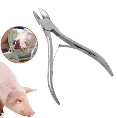 Stainless Steel Veterinary Piglet Teeth Pliers Tooth Nipper for Pet - image 1 of 4