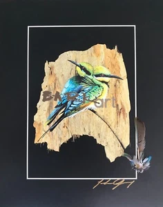 Rainbow Bee-Eaters - PRINT - WITH FEATHERS - Direct from Artist - Picture 1 of 2