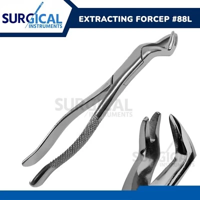 SURGINSTRUMENTS Extracting Forceps #88L Dental Surgical Instruments Stainless Steel German Grade