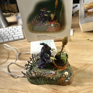 Department 56 Halloween Village Hocus Pocus Witch Only Lights Up Broken Fish - Picture 1 of 4