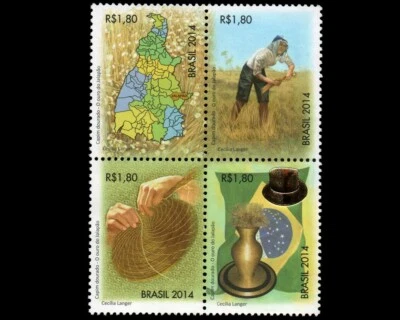 O Ouro do Jalapão Brasil 2014 Capim Dourado - Imagem 1 de 3