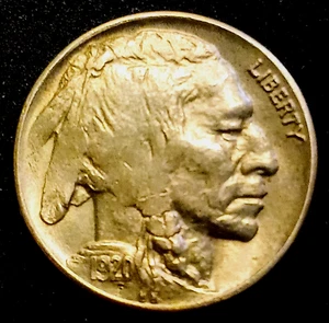 1920-D BUFFALO NICKEL BU DDO date 'STRUCK THRU GREASE' Error variety craziness! - Picture 1 of 22