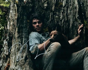 Foto autografiada de 8x10 firmada por Dylan O'Brien con certificado de autenticidad - Imagen 1 de 1