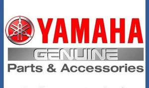 Genuine 6DA-11590-00-00 Yamaha Tensioner Assy 6DA115900000 From Japan - Foto 1 di 1