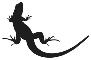 EIDECHSE SILHOUETTE AUFKLEBER GEKKO REPTIL LIEBE SPASS FARBE WÄHLEN - Bild 1 von 1