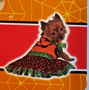 Spooky Village SMALL Pet Dog Orange Pumpkin Dress Costume 11" - Picture 1 of 4