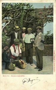 Postal malta, vendedor de nueces de mono (1899) - Imagen 1 de 2