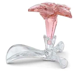 Swarovski Crystal Figurine SCS 2021 Desert Rose #5557915 New in Box Authentic - Picture 1 of 1