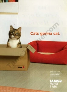 2021 Iams Cat Food Who I Am Cat in Box Old PRINT AD Unique Gift Idea (1910) - Picture 1 of 1