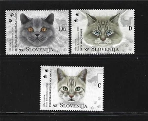 ESLOVENIA. Año: 2020. Tema: FAUNA. FELINOS. GATOS. - Imagen 1 de 1