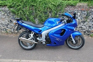 TRIUMPH 955i SPRINT ST 99-05 Stainless oval single outlet ROAD LEGAL exhaust - Picture 1 of 3