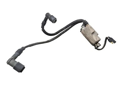 78 Arctic Cat Panther 5000 bobina de ignição Asy - Imagem 1 de 4