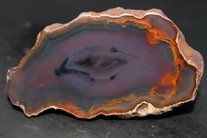 Condor agate collector specimen - Picture 1 of 4
