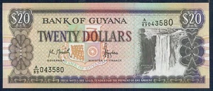 Guyana 20 dólares estadounidenses 1996 p.m. n° 30a Fior Von Druck - Gian 6 - Imagen 1 de 2