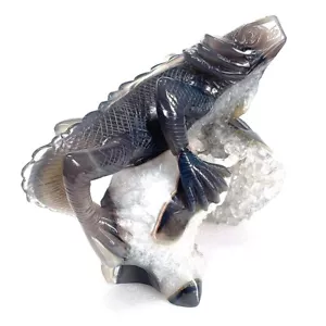 6.5 in Agate Geode Lizard Skull Sculpture - Hand-Carved Crystal for Home Decor - Picture 1 of 12