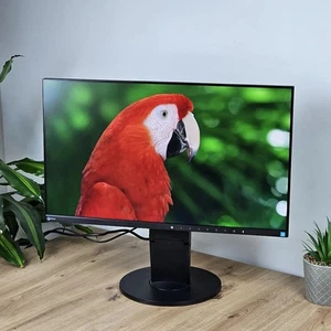 EIZO EV2450 24 Zoll LED Monitor Full HD Rahmenlos - Afbeelding 1 van 10