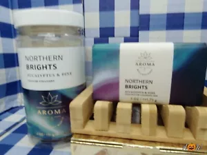 Bath & Body Works JUEGO DE VAPORES DE DUCHA NORTHERN BRIGHTS (6) con jabón en barra de karité - Imagen 1 de 1
