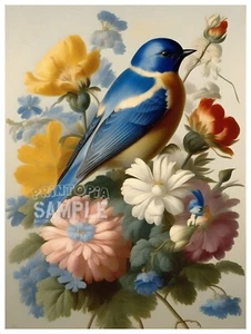Delicate Bluebird w Flowers * Quality Print * FRAME ME * Franz Xaver Petter - Picture 1 of 11
