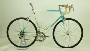Bici da strada vintage anni 90 Woodrup Reynolds 531 Campagnolo Matrix Regina Shimano 59 cm - Foto 1 di 20