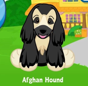 Webkinz Classic Afghan Hound Pet Code Only - Photo 1/1