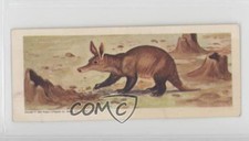 1964 Sugar Daddy African Wild Animals Aardvark #3 h3a