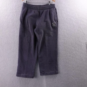 Las Vegas Raiders Russell Athletic Sweatpants Men's Large Gray Joggers NFL Y2K - Picture 1 of 8