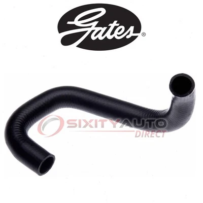 Gates Lower Radiator Coolant Hose for 1984-1986 Ford EXP 1.6L 1.9L L4 - hs - Image 1 of 4