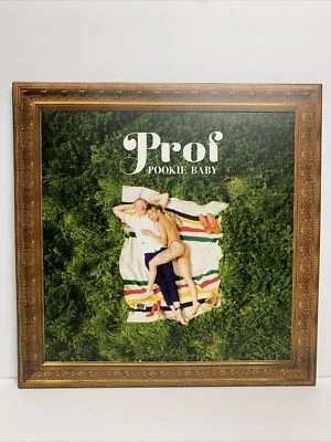 Prof - Pookie Baby - 2x LP Vinyl (White Color Vinyl) 2018 Rhymesayers Record Foto 1 de 4