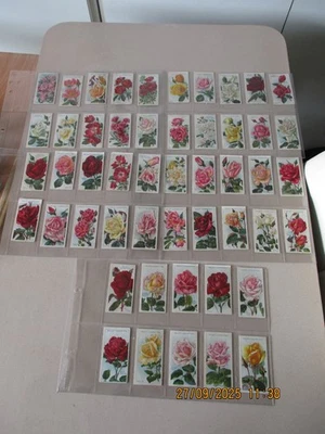 WD & HO Wills Roses 2nd series 1914 Full Set of 50 cards in plastic sleeves - Image 1 of 4