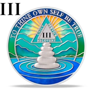 AA 3 Year Coin, Silver Color Plated Medallion, Alcoholics Anonymous Coin Gifts - Picture 1 of 15