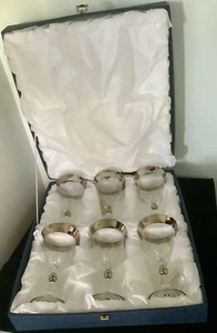 Hand Made SC Line Boxed Set of 6 Goblets / Wine Glasses ~ Mouth Blown ~ Italy - Picture 1 of 21