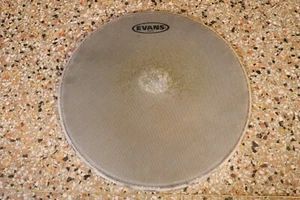 Evans 14" Hybrid Marching Drum Head - Picture 1 of 5