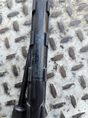 BMW X5 2012 capó puntales Foto 1 de 2