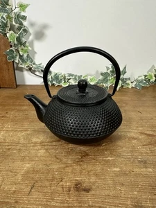 Teiera giapponese nera stile Tetsubin in ghisa con colino - Foto 1 di 11