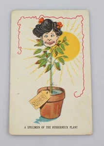 Vintage Postcard 1912 A Specimen Of The Rubberneck Plant Women - Imagen 1 de 2