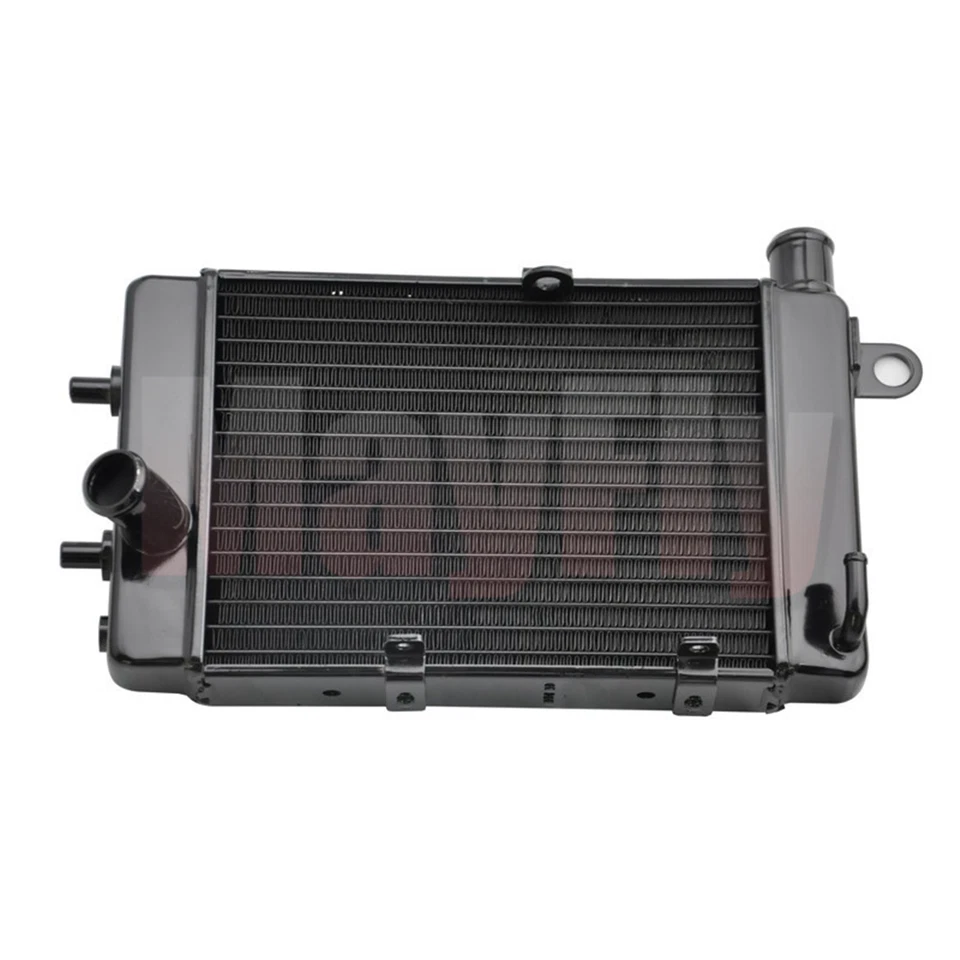 Compatível com Aprilia RSV1000 Tuono 2002-2005 radiador de motocicleta direito refrigerador - Imagem 1 de 3