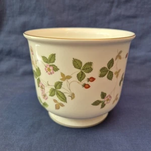 Wedgwood Wild Strawberry Planter Pot Xmas Planter Pot Bone China Planter Pot - Picture 1 of 12