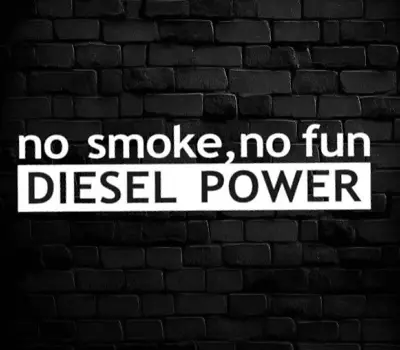 Adesivi Auto Tuning Finestrino Laterale Diesel Power Bianco 14,5 x 3,4 - Immagine 1 di 3