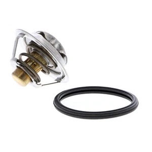 ACKOJA Thermostat Coolant for NISSAN X-TRAIL II (T31) 2007-09 to 2014-07 - Picture 1 of 12