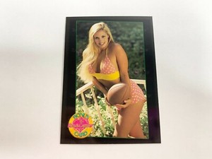 Yvette Rachelle Bonus Card Bench Warmer 1994 Card # 168