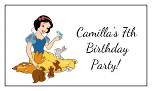 16 Large Personalized Princess Birthday Stickers, 3.5" x 2", Square, Custom - Picture 1 of 1