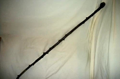 ANTIQUE FOLK ART WALKING STICK CANE THORNY WOOD BRANCH BRASS SLEEVE PRIMITIVE - Image 1 of 4