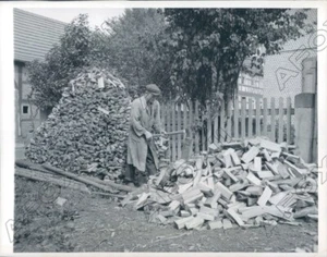 1945 Bronnzell Deutschland Mann hackt Holz nach Krieg bei Kohlemangel Pressefoto - Bild 1 von 2