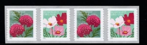 Scott 5664 5665 Butterfly Garden Nonprofit coil strip of four mint mnh - Picture 1 of 1