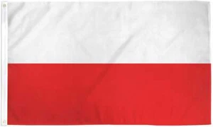 10 x "POLAND" flag 3x5 ft polyester banner sign Polish Polska country EU UN - Picture 1 of 8